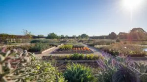 0022 3 a wide angle shot of a garden with a var Nwo6KgF0RkKC3qdKdl6ZVw MCLYmzyISFePdhUOEZh70g