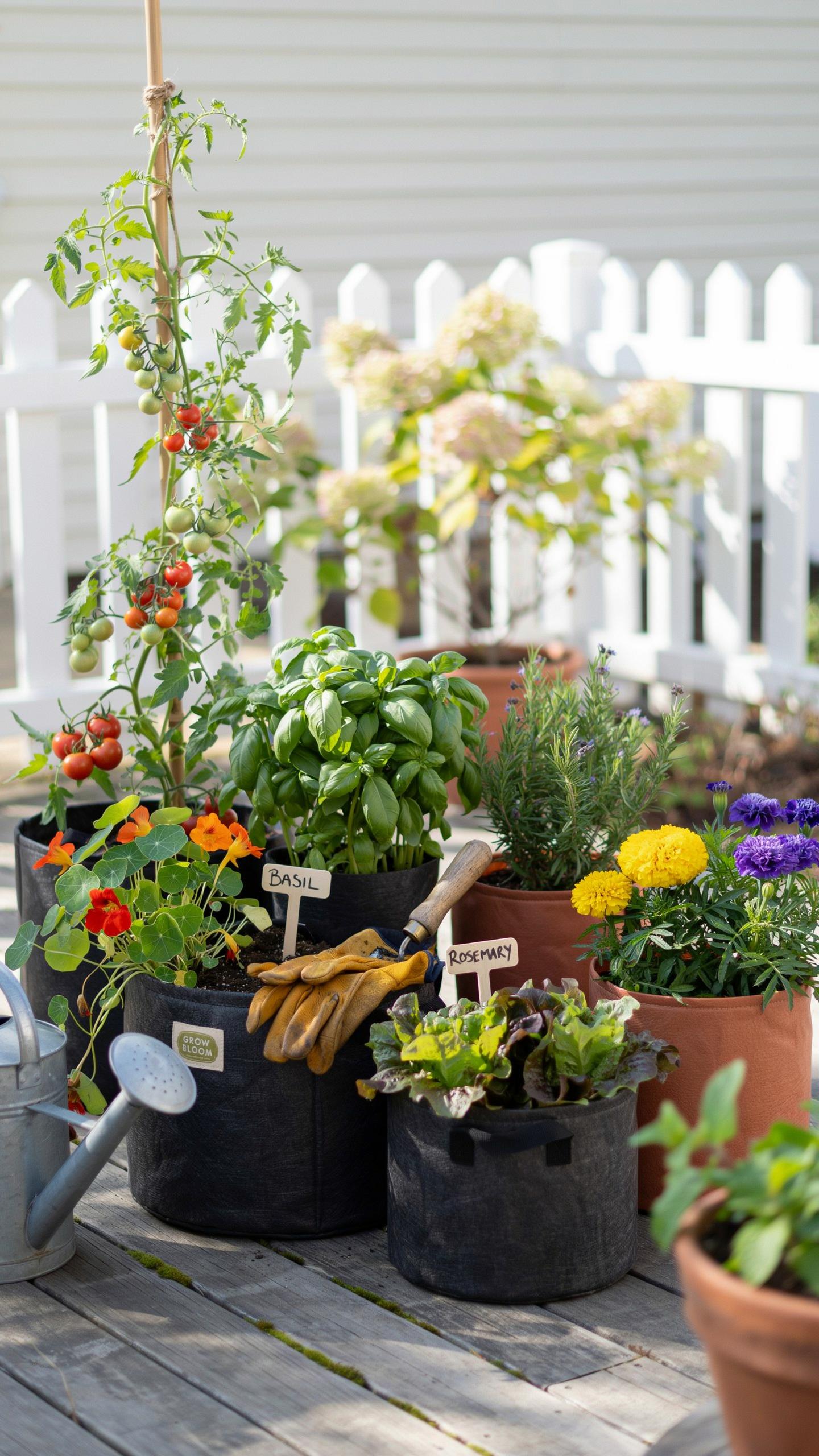 A vibrant collection of potted herbs, flowers, and vegetables, including cherry tomatoes, basil, and marigolds, arranged on a wooden deck with a white