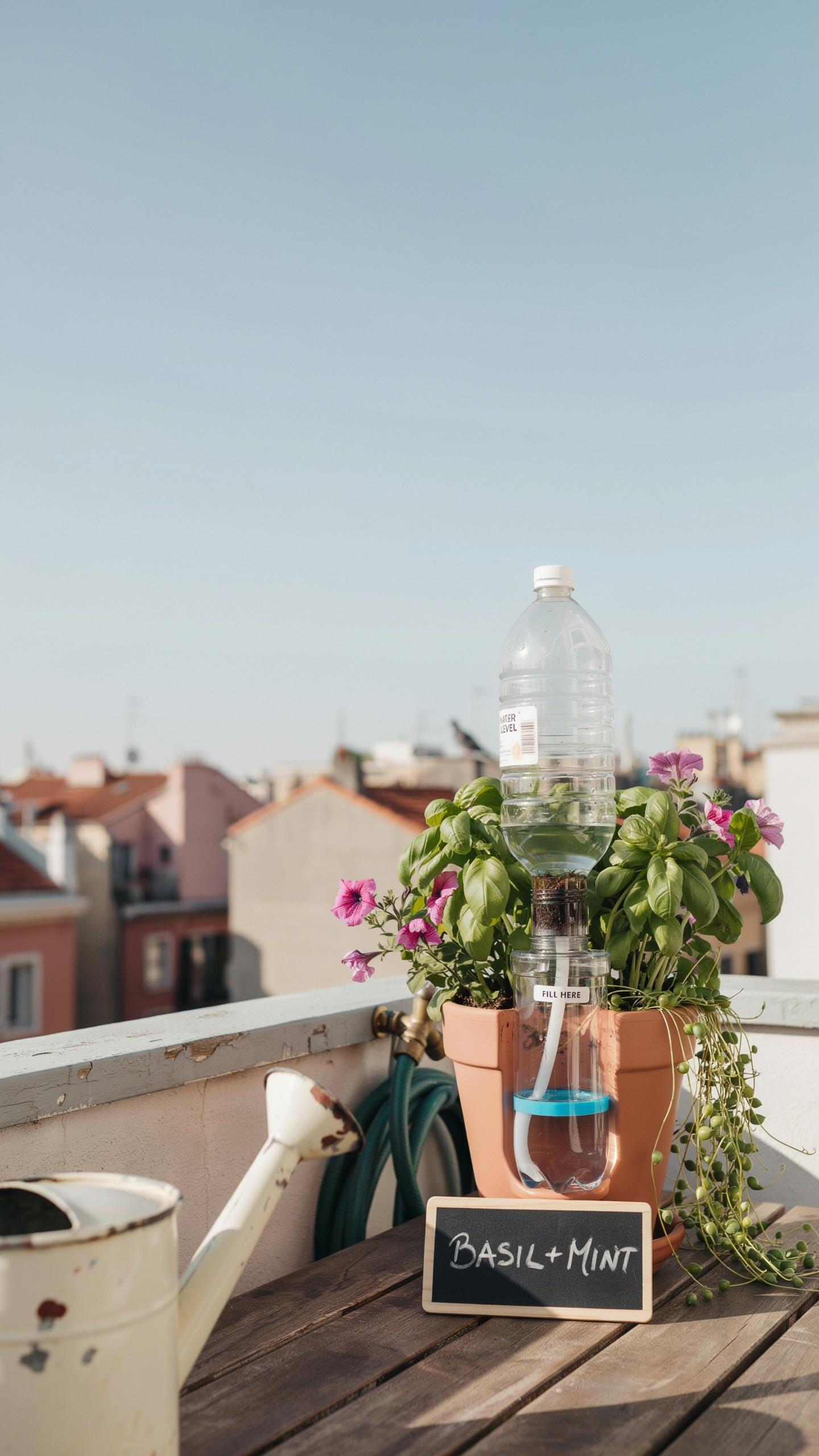A self-watering planter system sits on a wooden table on a sunny rooftop terrace, featuring basil and mint plants in a terracotta pot, a clear plastic