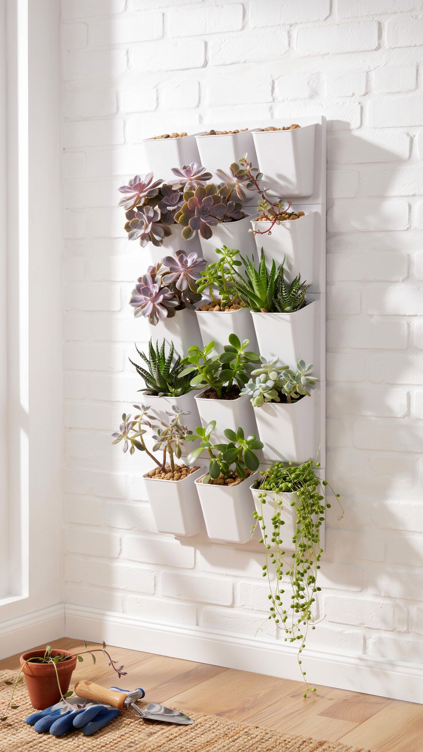A white vertical garden planter with ten individual pots holding various succulent plants and small green foliage, hangs on a white brick wall next to